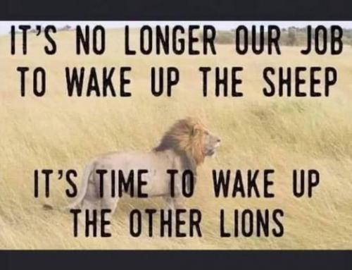 44594E1C-185A-402D-ADCE-4EC35428CC0A