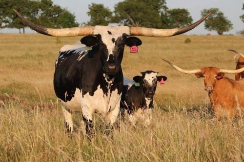 185806142_4437542039608922_5069040441261794505_n