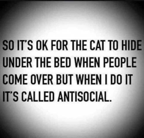 13:20:28 GMT-0600 (MDT)