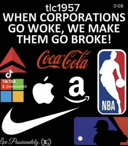 mnnez5pSKWjOyYkPLzAv_12_a32935b430e58df0f670ed1e0b14a79b_image