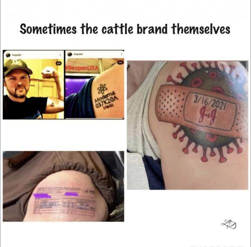 23:02:06 GMT-0500 (CDT).image