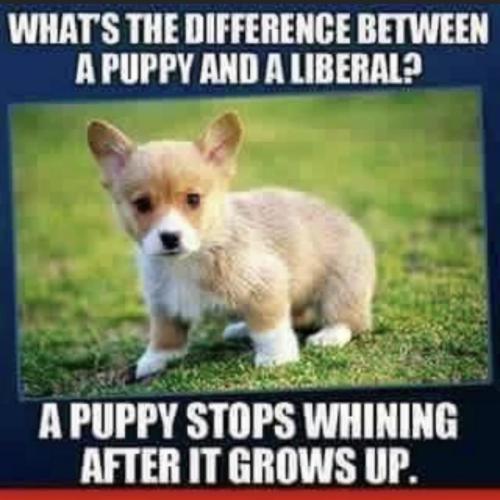 18:46:53 GMT-0700 (PDT).image