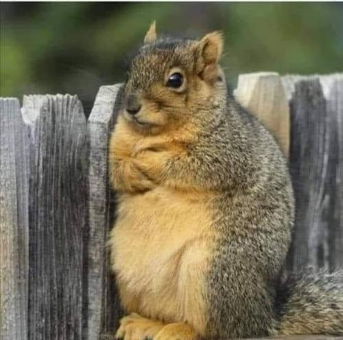 21:46:33 GMT-0700 (PDT).image