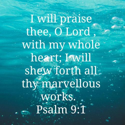 08:02:39 GMT-0400 (EDT)