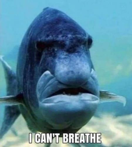 185683204_10209083986653441_4463738806876276803_n