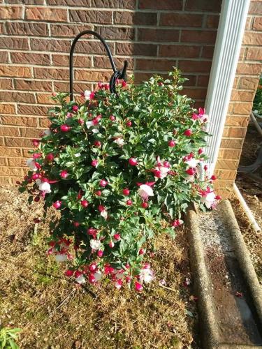 FB_IMG_1620683482680