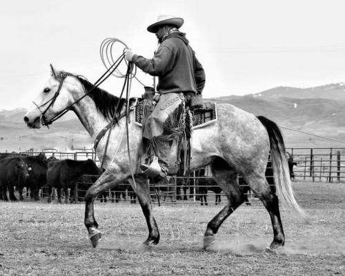 182628901_10159011949210642_2450356498399263829_n