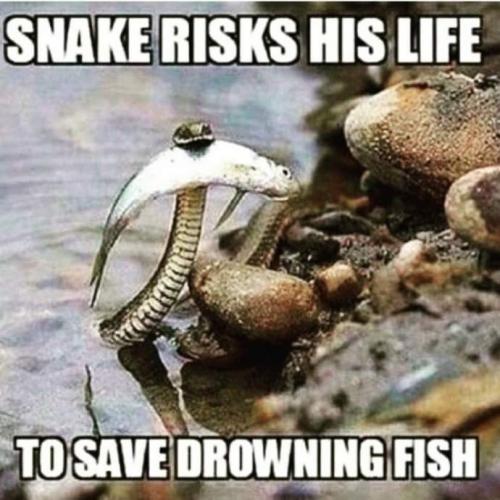 23:29:40 GMT-0400 (EDT)