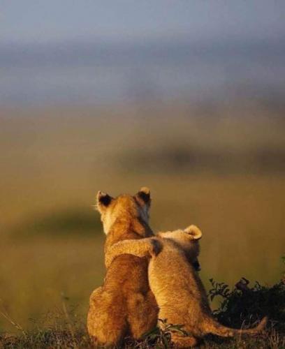 13:25:22 GMT-0500 (CDT)