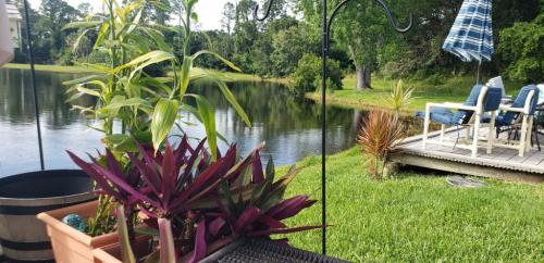 19:06:35 GMT-0400 (EDT)