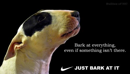 Bark at Everything