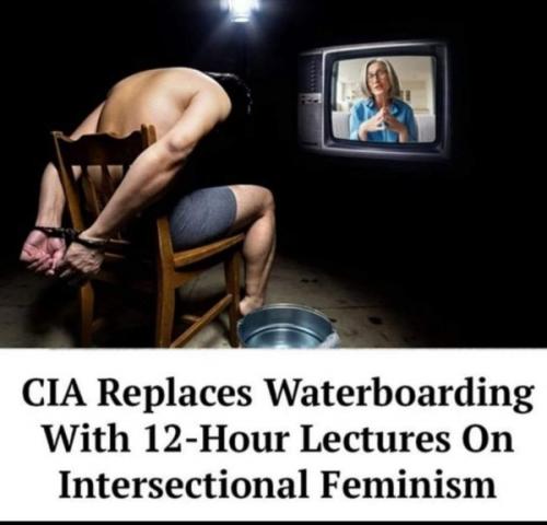 CIA - Waterboarding - Intersectional Feminism