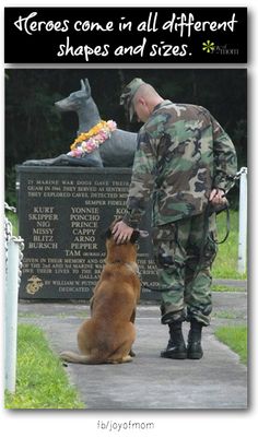 48730787536a32f91d173be0442dfa8f-dog-memorial-happy-memorial-day