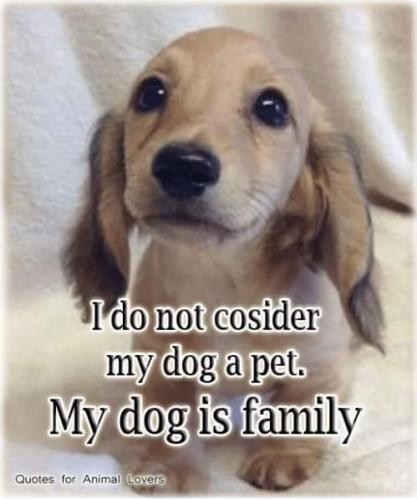 11:05:41 GMT-0500 (CDT)