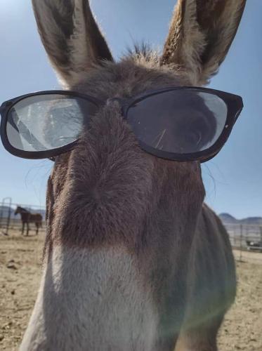 FB_IMG_1619663984932