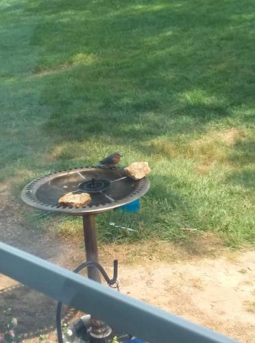 received_968617917234373