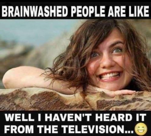 Brainwashed people are like