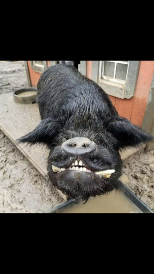 21:08:22 GMT-0500 (CDT).image