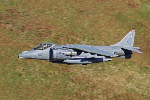 181569132_3985350911551099_8672964400815590063_n