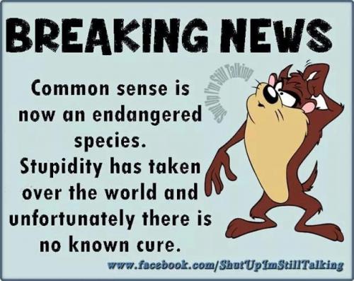 15:49:28 GMT-0600 (MDT).image