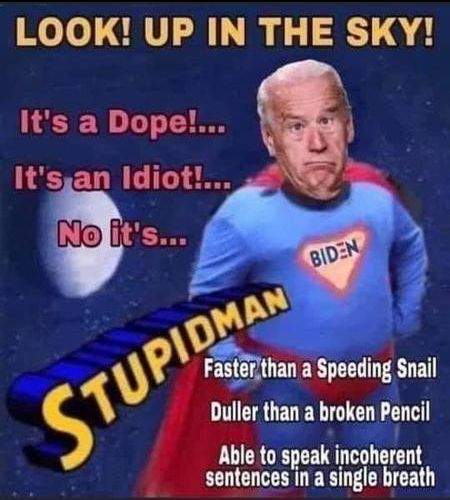 stupidman1