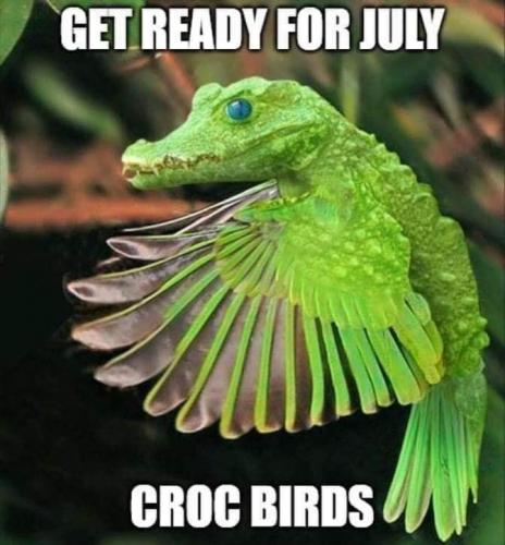 10:12:53 GMT-0500 (CDT)