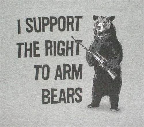 ARM BEARS