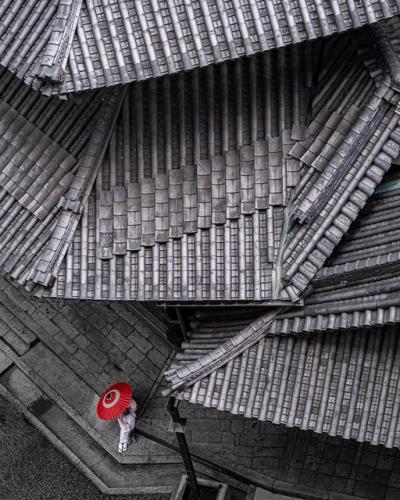 186515329_2946909992246883_6094925030971083937_n