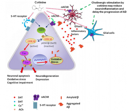 16:46:50 GMT+0100 (BST)