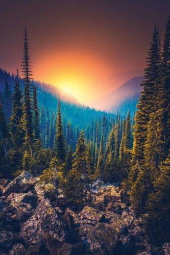 20:07:43 GMT-0500 (CDT)