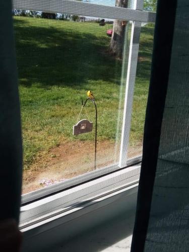 FB_IMG_1620746007818