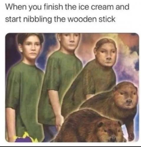 tumblr_abbc8e0b6d44ceef463b2f227b8b0f38_f29765eb_540