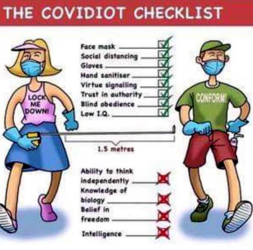 covidiot checklist