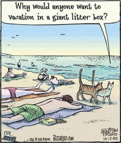 20:22:22 GMT-0700 (PDT)