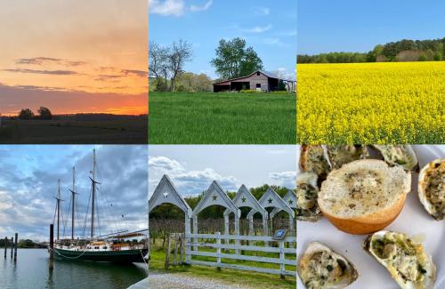 176998660_10226600906355349_6586526829067902312_n