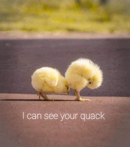 07:33:50 GMT-0500 (CDT)