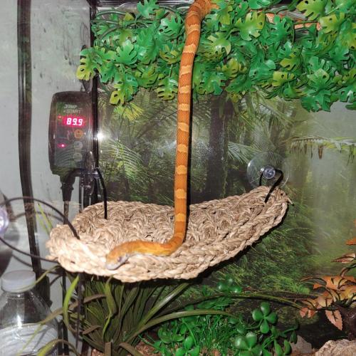 23:14:13 GMT-0400 (EDT)