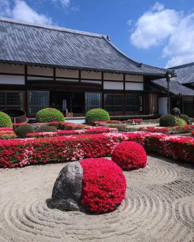 188912124_929578627827028_872794227191812662_n