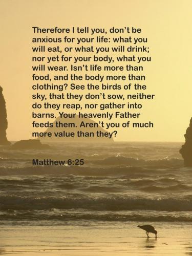 07:52:54 GMT-0400 (EDT)