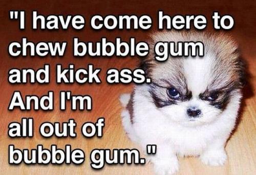 Bubble Gum