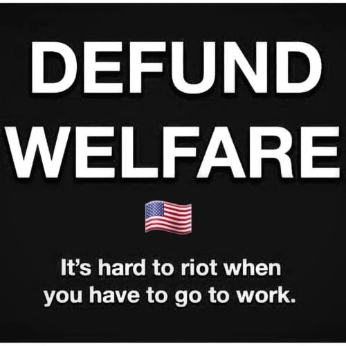 defundwelfare