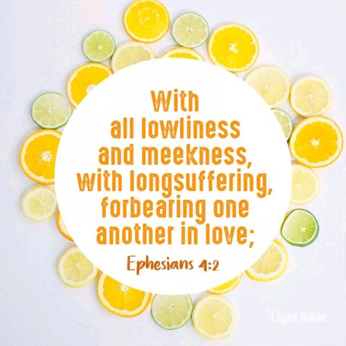 08:17:05 GMT-0400 (EDT).*