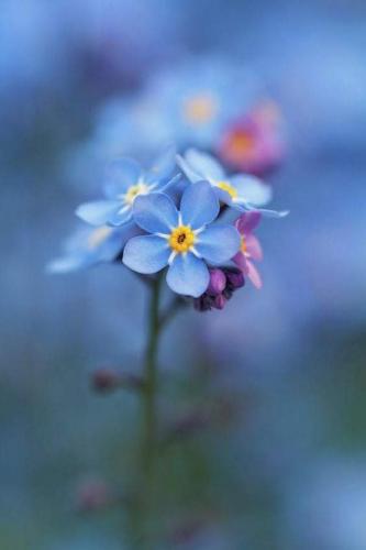 12:48:53 GMT-0500 (CDT)