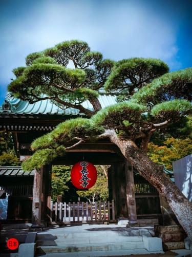 192810301_5534063713331969_1534082043253818700_n