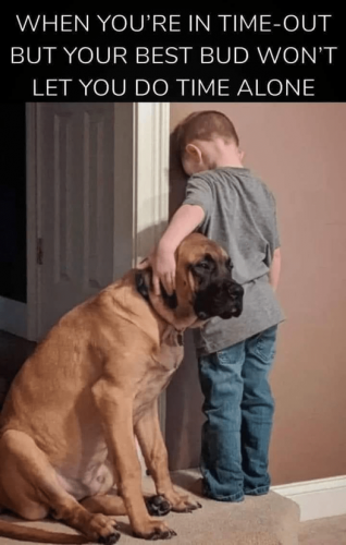 187133300_10159162438011112_232380629107593147_n