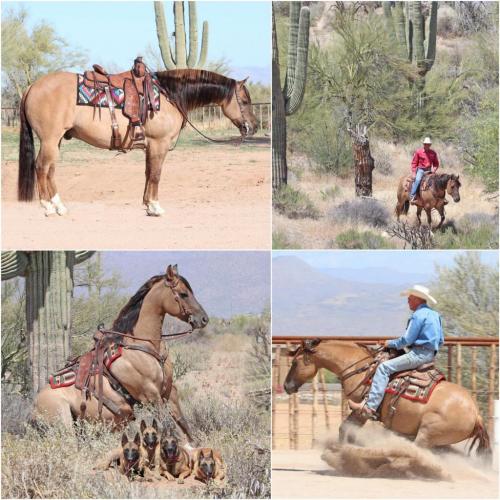 183991531_4029685363791558_3769663097086311231_n