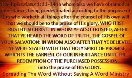 187284940_224971925795896_6321743017717244444_n