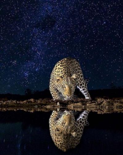 tumblr_14c91647bdad661eba4ea8f4386acb87_baaa6827_540