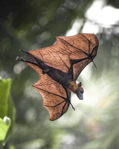 184681882_328162072020806_7482609118820445254_n