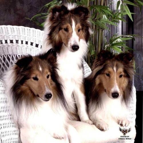 09:26:29 GMT-0500 (CDT)